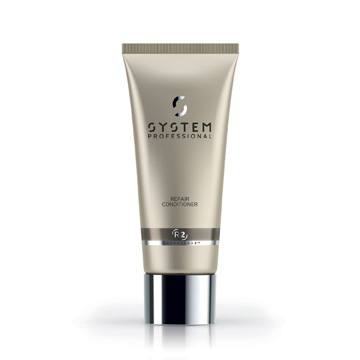 SYSTEM PROFESSIONAL - REPAIR CONDITIONER