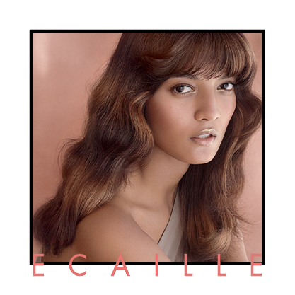 Ecaille For A Multidimensional Appeal